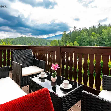 Apartment Old - Blisko Centrum I Wyciagow